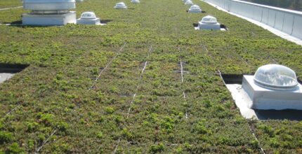 Zielony dach na hali przemysłowej – ekologiczne i finansowe korzyści